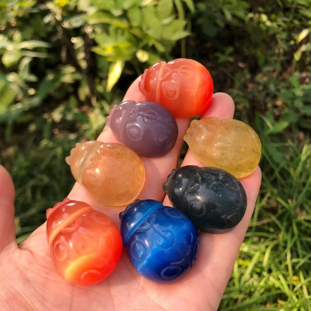 Random 5pcs ! Cat's Eye Stone Ladybug Raw Stone Hand Carved Statue Reiki Healing Crystal Home Decor Lucky Gift