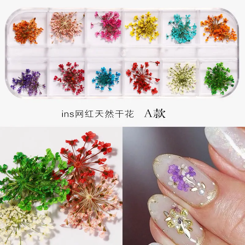 Nail Art Droge Gedroogde Bloemen Decoratie Met 12 Verschillende Kleuren