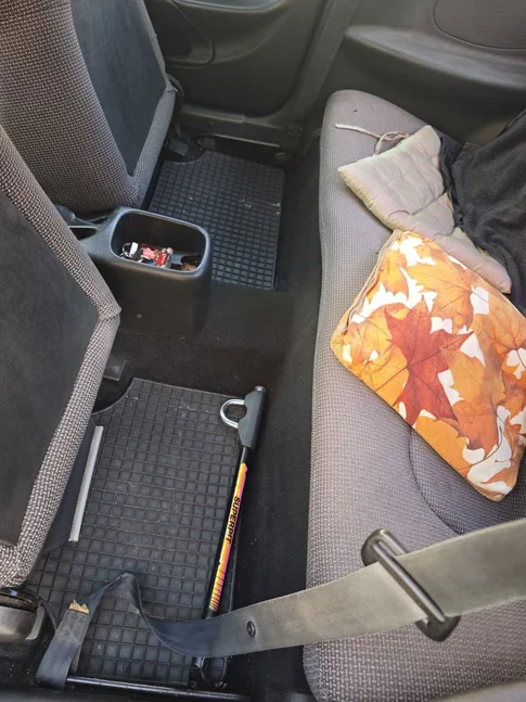 

10 AUTOMOBILE LEATHER RUG AUTO