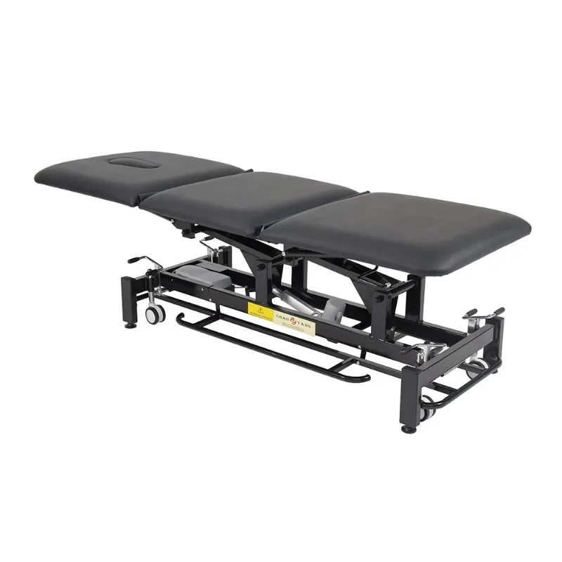 Modern Electric Hi-Lo Treatment Table Secure Comfortable Clinic Bed for Acupuncture Massage & Physical Therapy for Living Room
