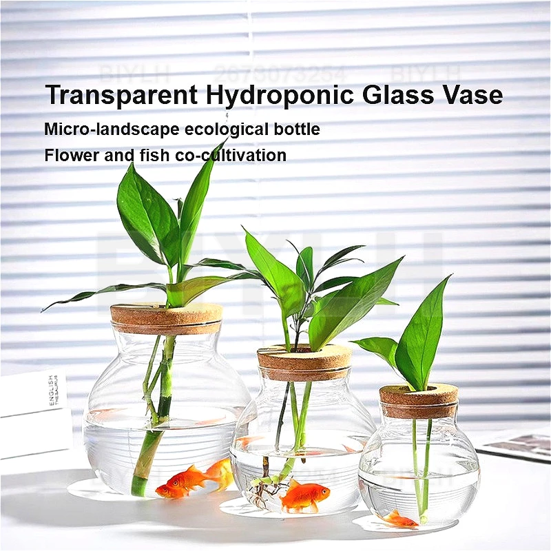 Florero de cristal para planta - Hydroponic Grow Pod reseña y precio