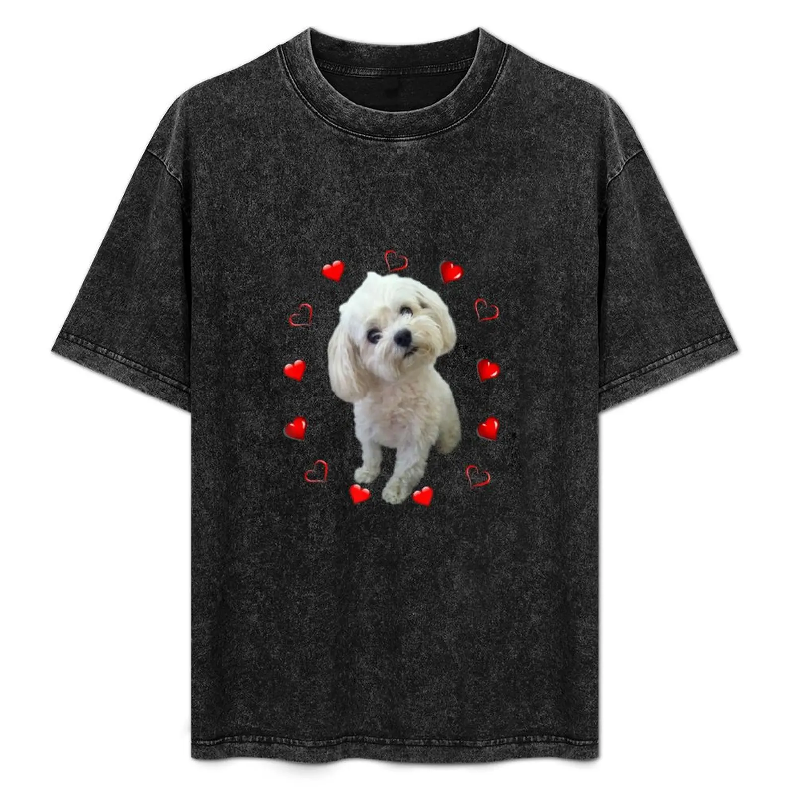 Copy of Dog Vintage Best Maltese Dad Ever Gifts Lover T-Shirt Active Wear Sports T-Shirt for Men