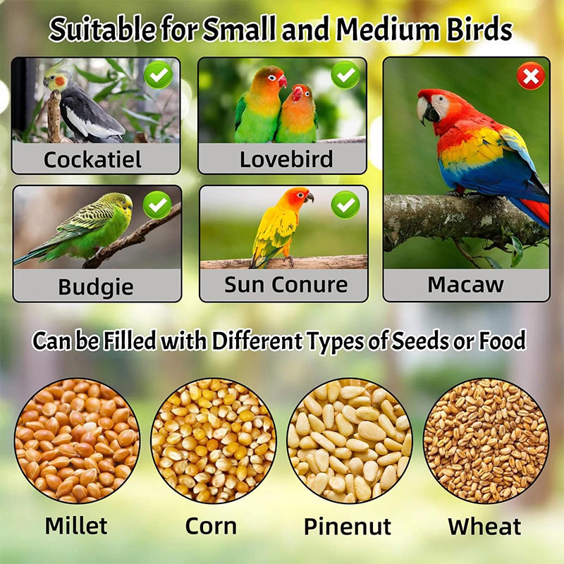 وحدة تغذية شفافة للطيور سهلة الاستخدام، حاوية بذور الببغاء الأكريليك للقفص، موزع طعام أوتوماتيكي