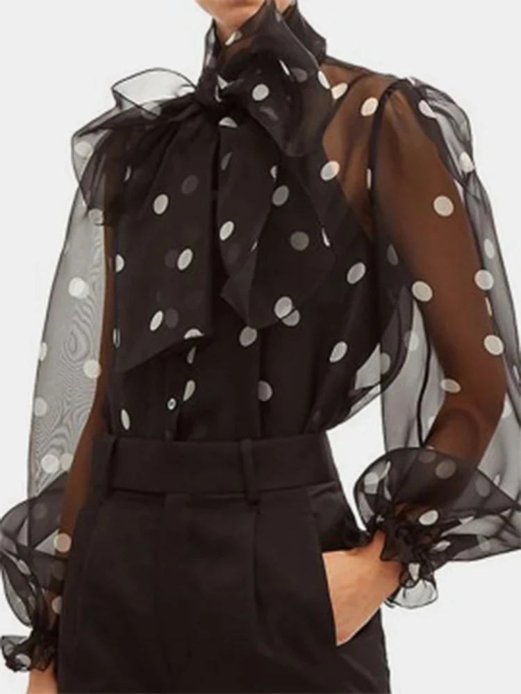 

Elegant Women Polka Dot Print Blouse Office Lady Fashion Chic Blouse Lace-up Bow Sheer Long Sleeve Loose Top Summer Ropa Mujer