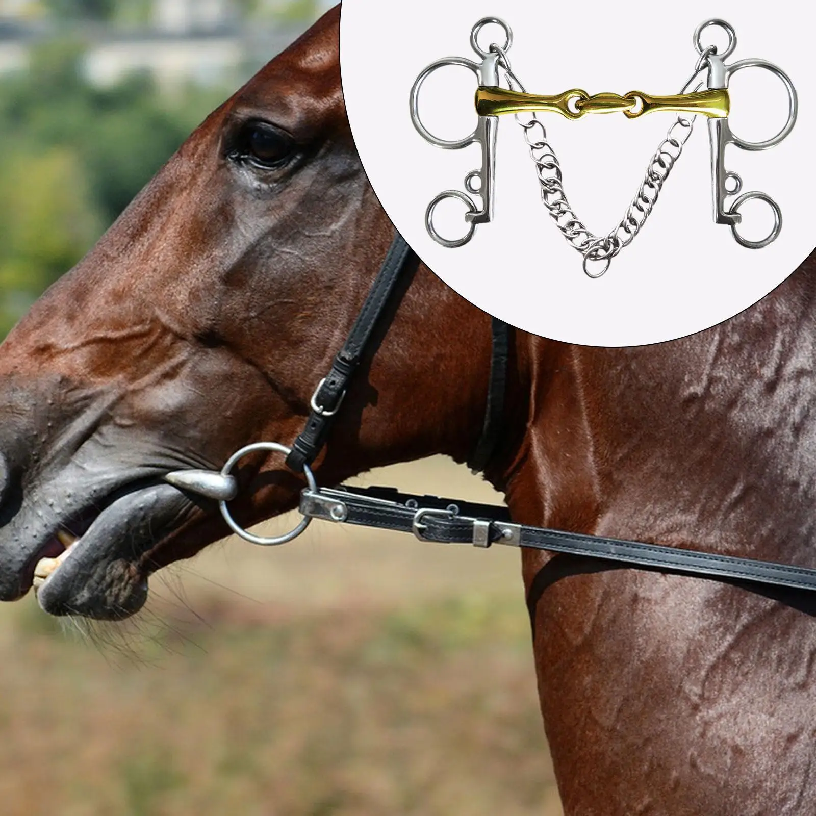 

Horse Bit Horse Training 127mm Gear Full Cheek Snaffle Heavy Duty Horse Mouth