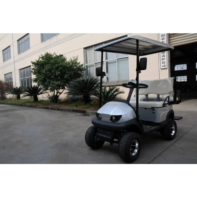2 Seats Gas or Electric Golf Cart with Many Color for Choice and Factory Wholesale Prices