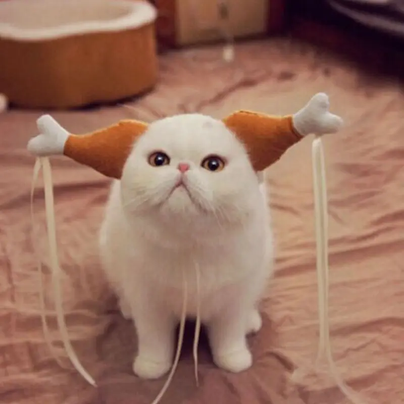 Pet funny chicken leg headband cute little dragon girl cute dog funny headwear photo props cat hat