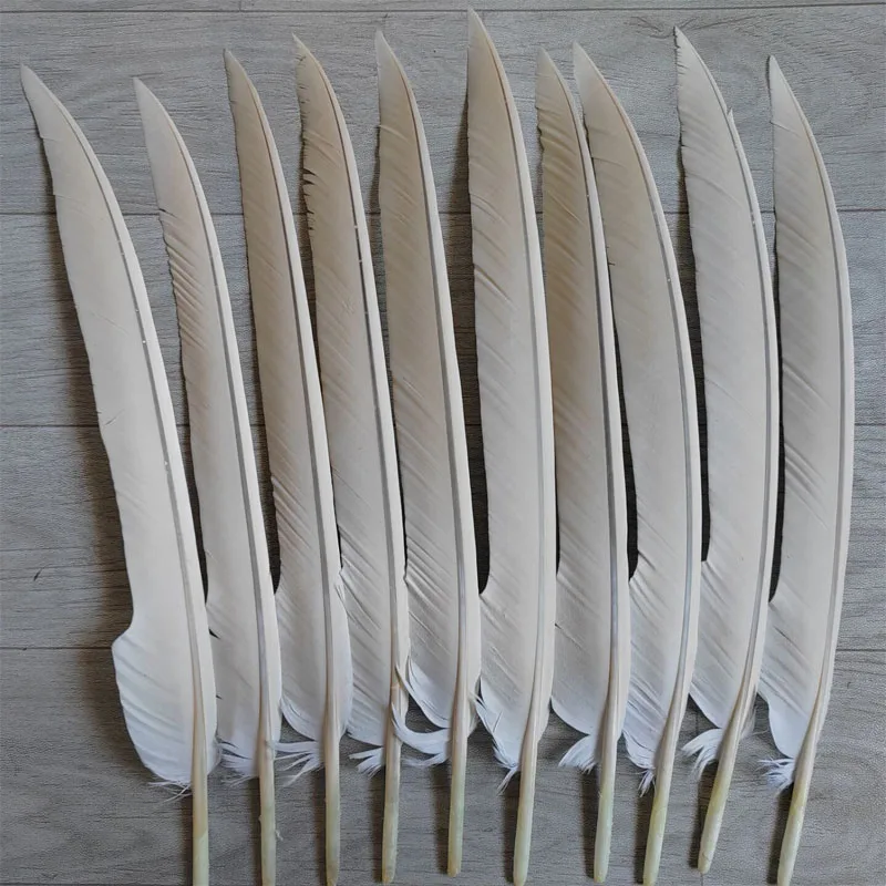 

10 шт., 40-50 см, природные редкие белые перья орла, праздничные образцы, украшенные перьями для сцены, маски, костюмов