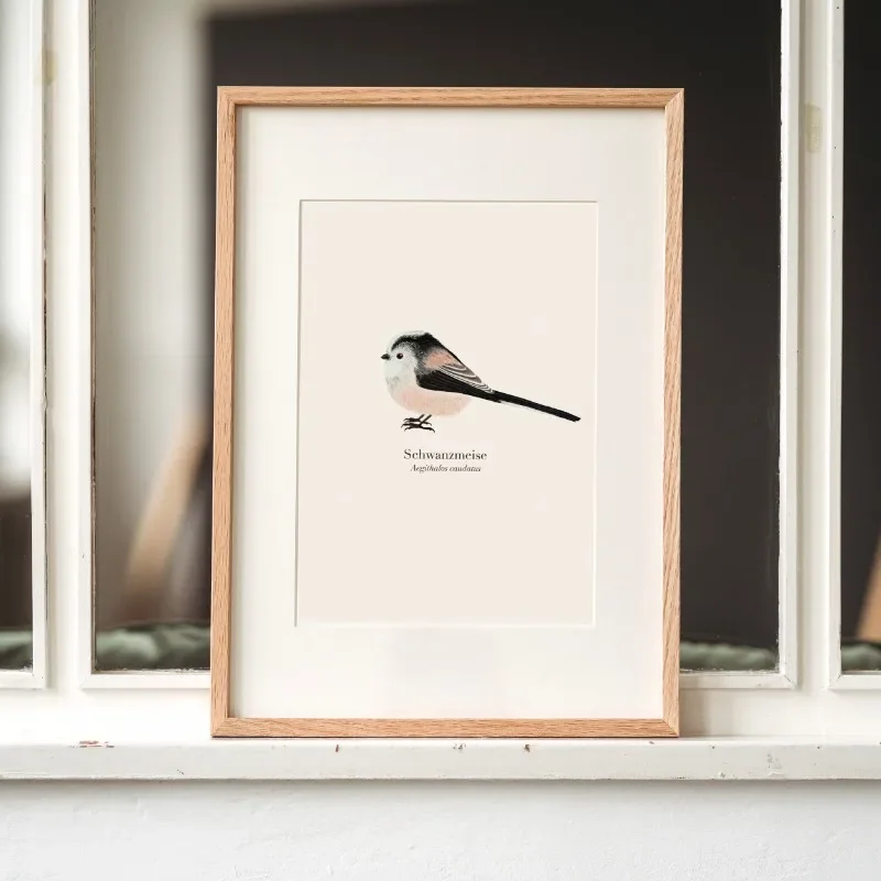 1PC frameless decorative art print,Native Birds Species Collect Illustration Poster Nature Bird Animal Minimalist Wall Art Canva