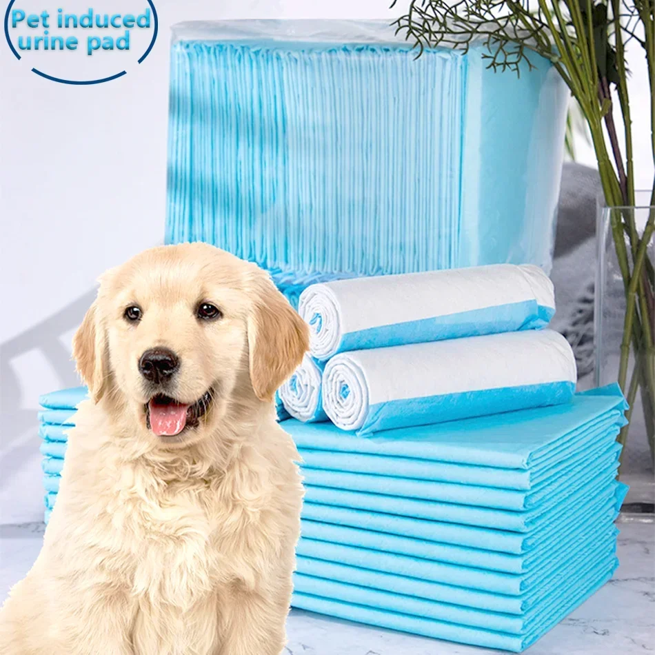 100/50/40/20PCS Absorbent Dogs Diapers Disposable Puppy Training Pee Pads Quick Dry Surface Mat Clean Cushion Dog Supplies