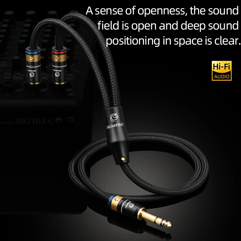 ERUMPENT HiFi 6.5mm TRS to Dual 6.5mm TS Audio Cable 6N OCC Core Gold Plated Plug Stereo Splitter Wire for  Amplifier Mixer