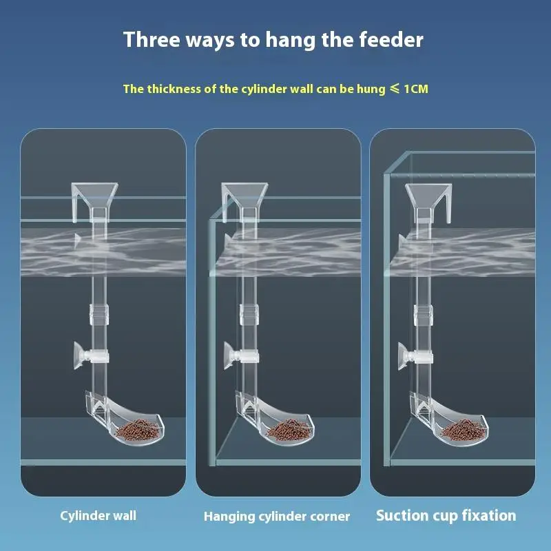 أداة تغذية الروبيان والحلزون، طبق أكريليك شفاف وأنبوب لخزانات الأسماك #2