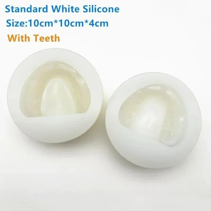 Lab Plaster Model Mold Mould of Edentulous Jaw Complete Cavity Block Lab model 2pc/set s