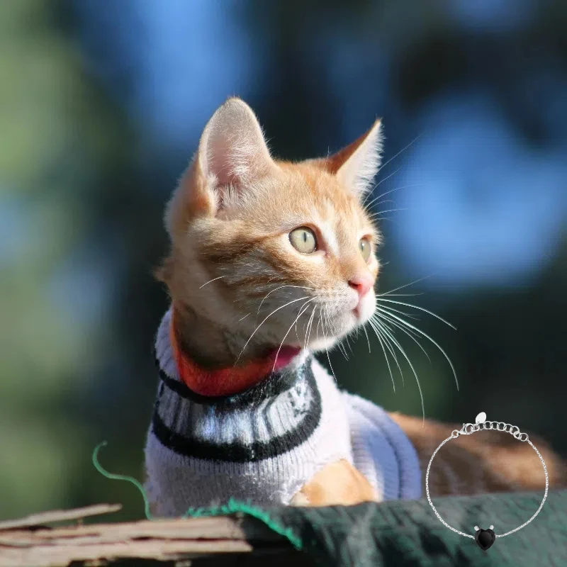 

2025 Fashion TO Innovative Jewelry Spanish Jewelry 18K Gold Plated Bracelet Personalized Simple Daily Romantic Jewelry