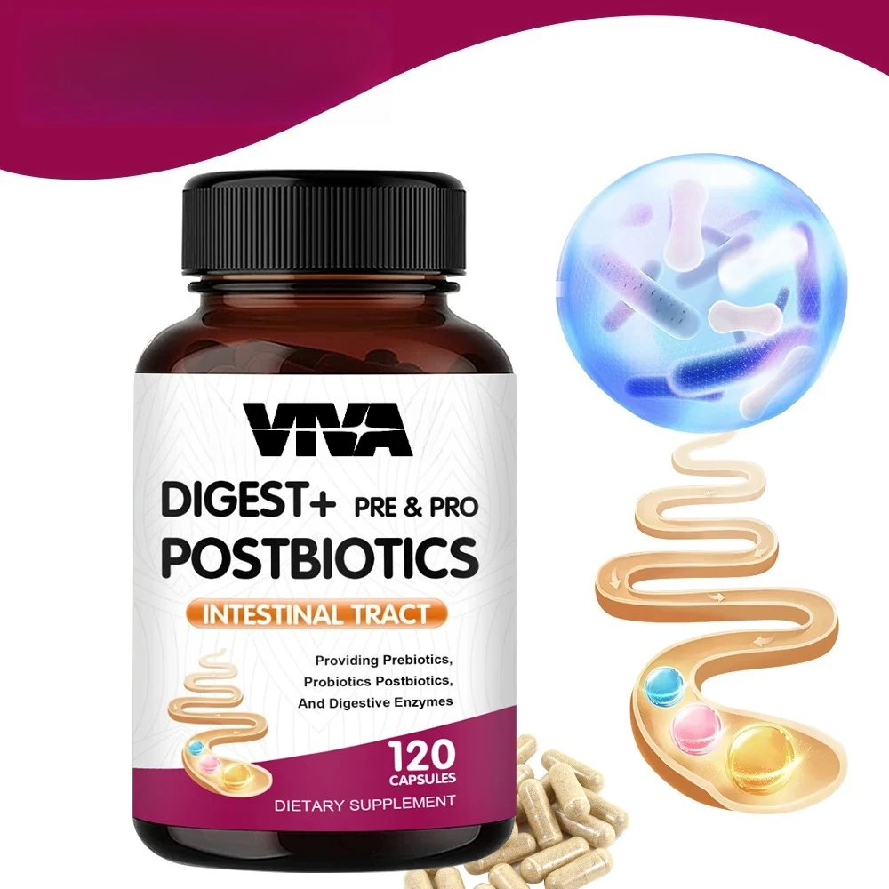 Digestive Enzymes+Probiotics+Prebiotics Capsule Beneficial Bacteria Immune System & Healthy Digestive, for Women & Men