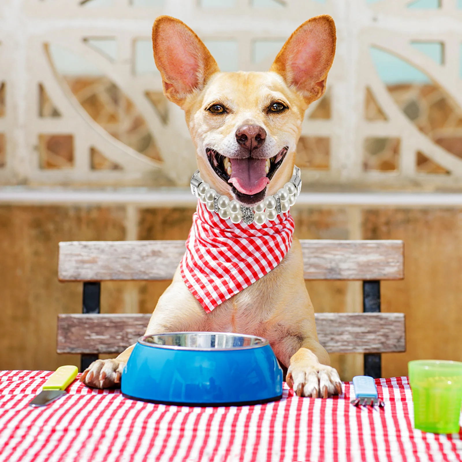 

Pet Pearls Collars Dog Cat Adjustable Necklace Leash Stylish Beautiful Occasions Photo Shoots Weddings Best Look