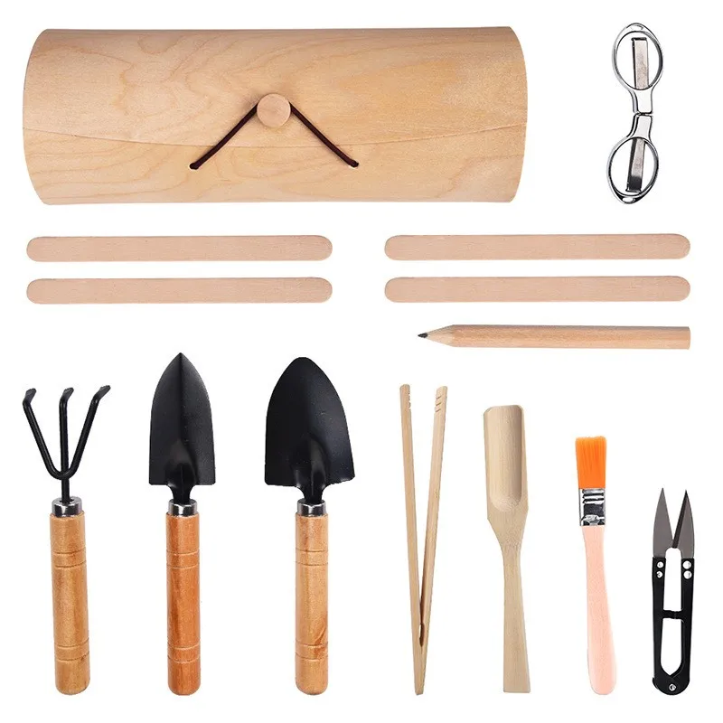 Cross-border biodegradable wooden seed set, creative plant growth gift box, direct sales and wholesale from the manufacturer for