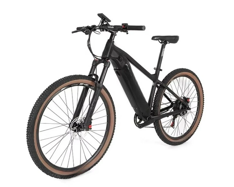 BR2022 Mtb Electric Internal Battery 350V / 500W Rear Motor Mtb 29er Ebike Mountainbike E Electric Bicycle
