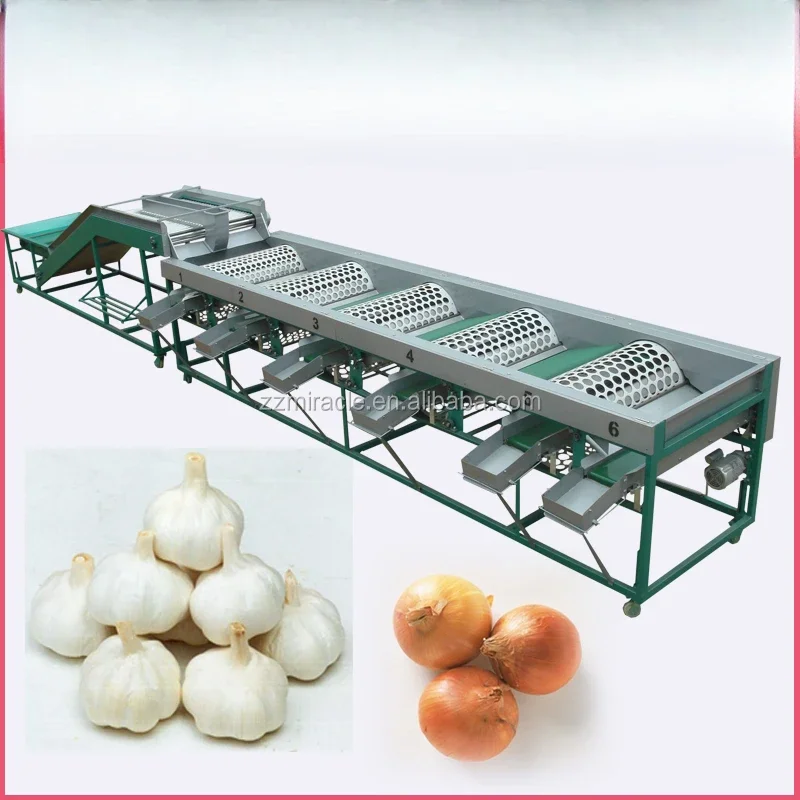 Garlic sorting machine by size/garlic grader/grading machine for garlic by roller