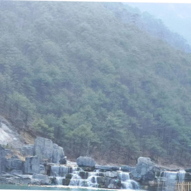 

Двигатель электропитания 1 шт. X5210 5210 340 кВ 500 кВ, детали бесщеточного двигателя 4-8S, бесщеточный двигатель для FPV, радиоуправляемый дрон, детали игрушки