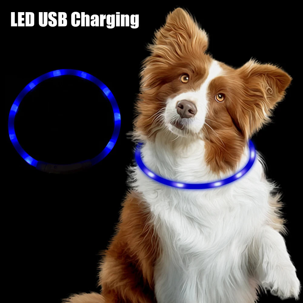 Pet Accessories Led Usb Dog Collar Night Safety Flashing Glow Collar Dog Loss Prevention Night Luminous Charge Collar