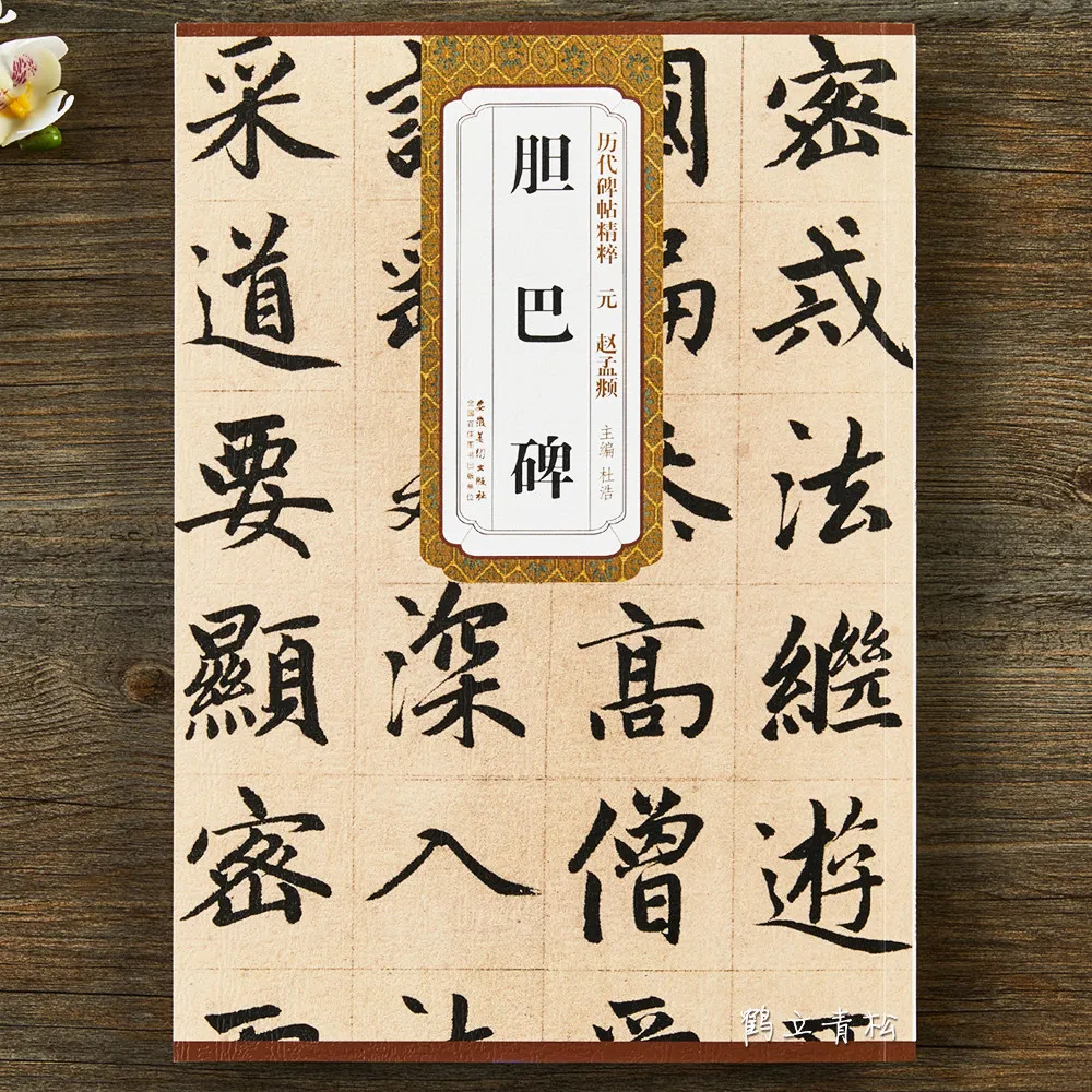 HVV Zhao Mengfu Danba Stele Calligraphy Copybook Traditional Chinese Brush Writing Practice Book for Adults Students