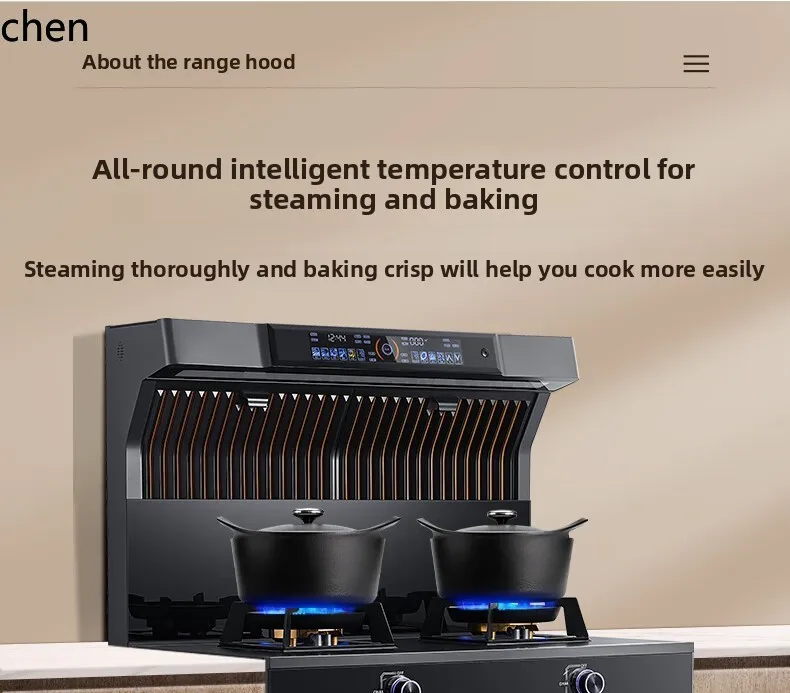 ZML 家庭用周波数変換スチームオーブン消毒キャビネットガスストーブ 1 つの電気と 1 つのセラミック純粋な電気