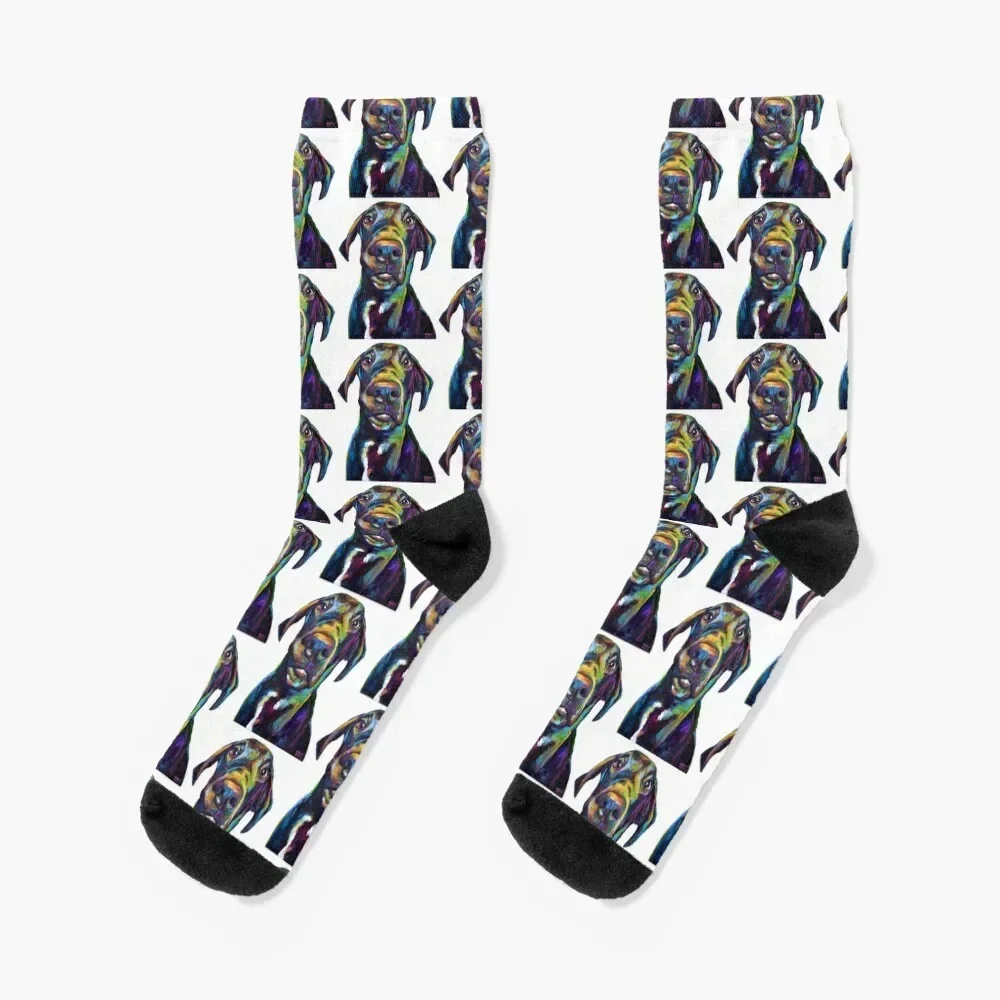 

Handsome Hank The Great Dane Socks retro snow Socks Ladies Men's