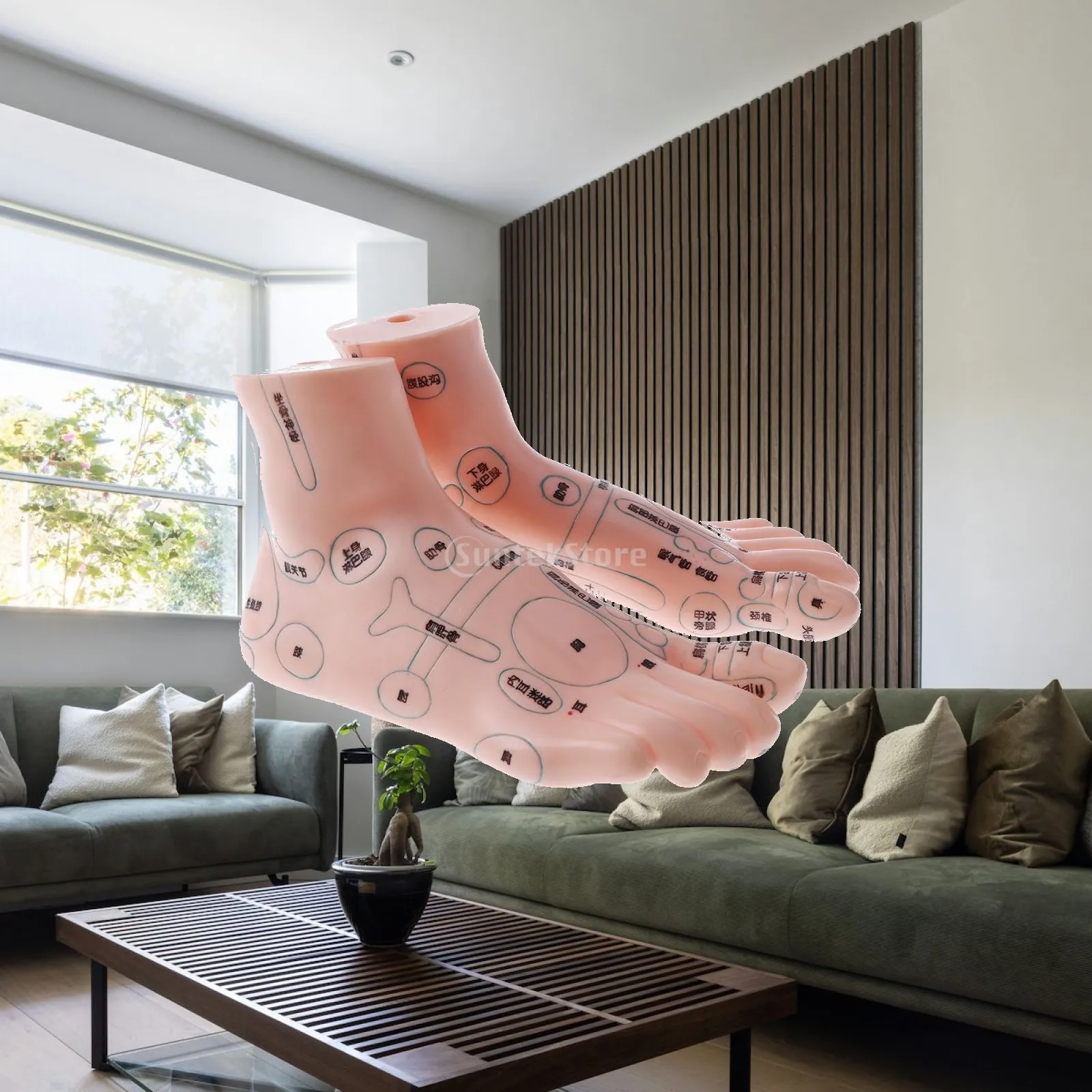 

Human Feet Statue Reflexology Model Anatomical Acupoint Display for School Learning and Lab Supplies