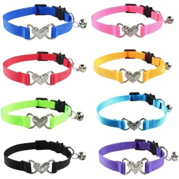 8 best sales Gürtel für Katze - №5