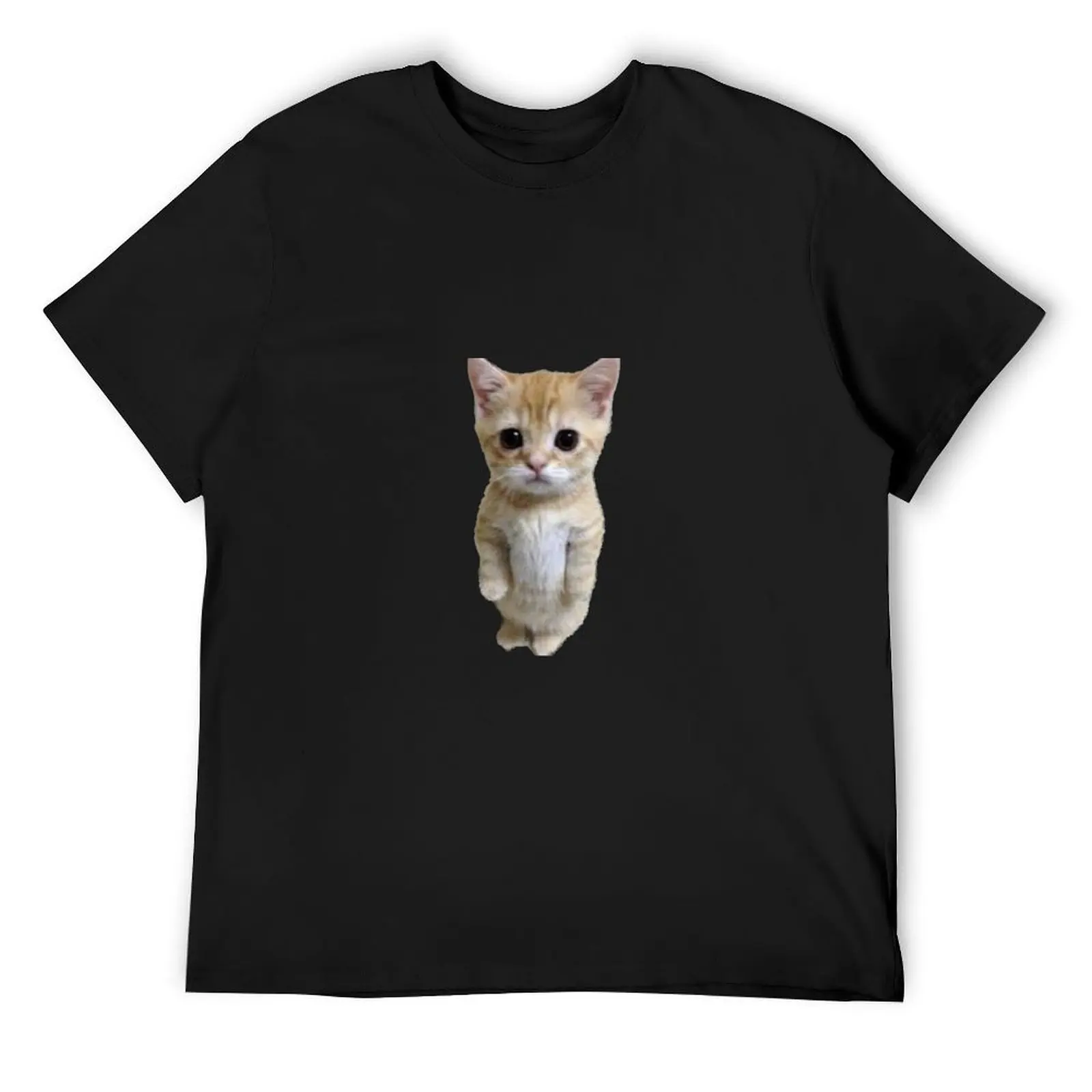 

Awkward standing kitten T-Shirt summer clothes graphic shirts sports fans mens tall t shirts