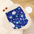 CP62 Cloth Diaper