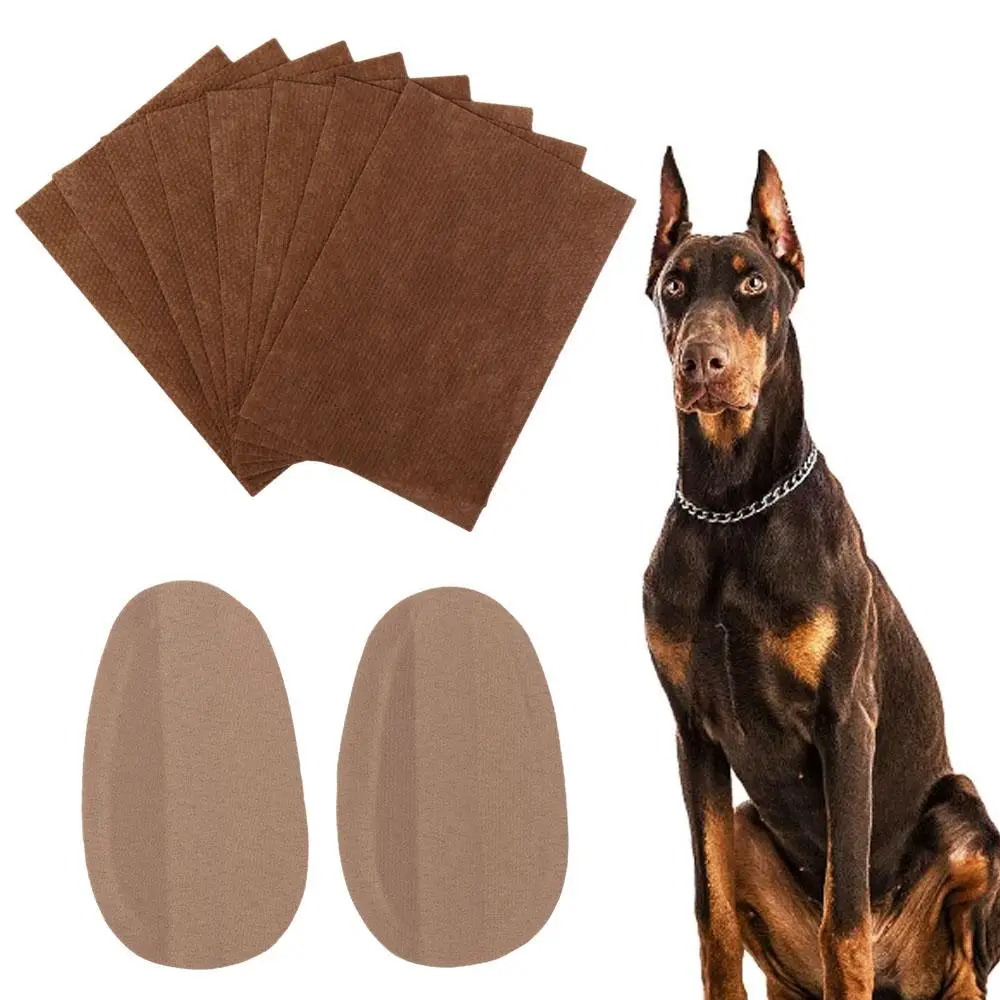 Soporte Pinscher, Erector de oreja de perro, Doberman, pegatinas de pie correctas para oreja de perro, herramientas para el cuidado de los oídos, Erector de oreja de perro, suministros para perros