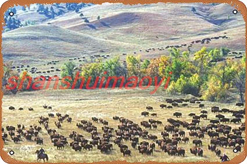 Metal Tin Sign 8 X 12 Inch - Buffalo Round-Up, Custer State Park, South Dakota - Poster Metal Plaque Cafe, Bar, Home Wall D yes