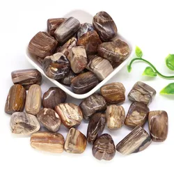 Natural Gemstone Stromatolite Reiki Healing Crystal Tumbled Stones Energy Specimen Minerals Rock Garden Aquarium Home Decoration