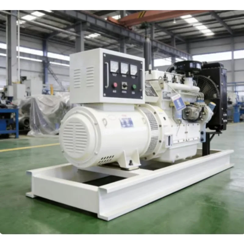 Portable Generator Set Open Frame Small Diesel Engine Generator Set Auto Start Remote Start Home Backup Power Factory Price