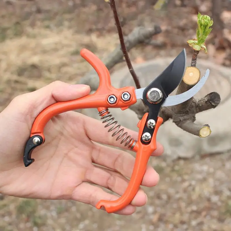 Pruner Garden Scissors Gardening Pruning Shear Scissor Branch Tool  Shear Gardening Fruit Tree Pruning Shears Garden Clippers