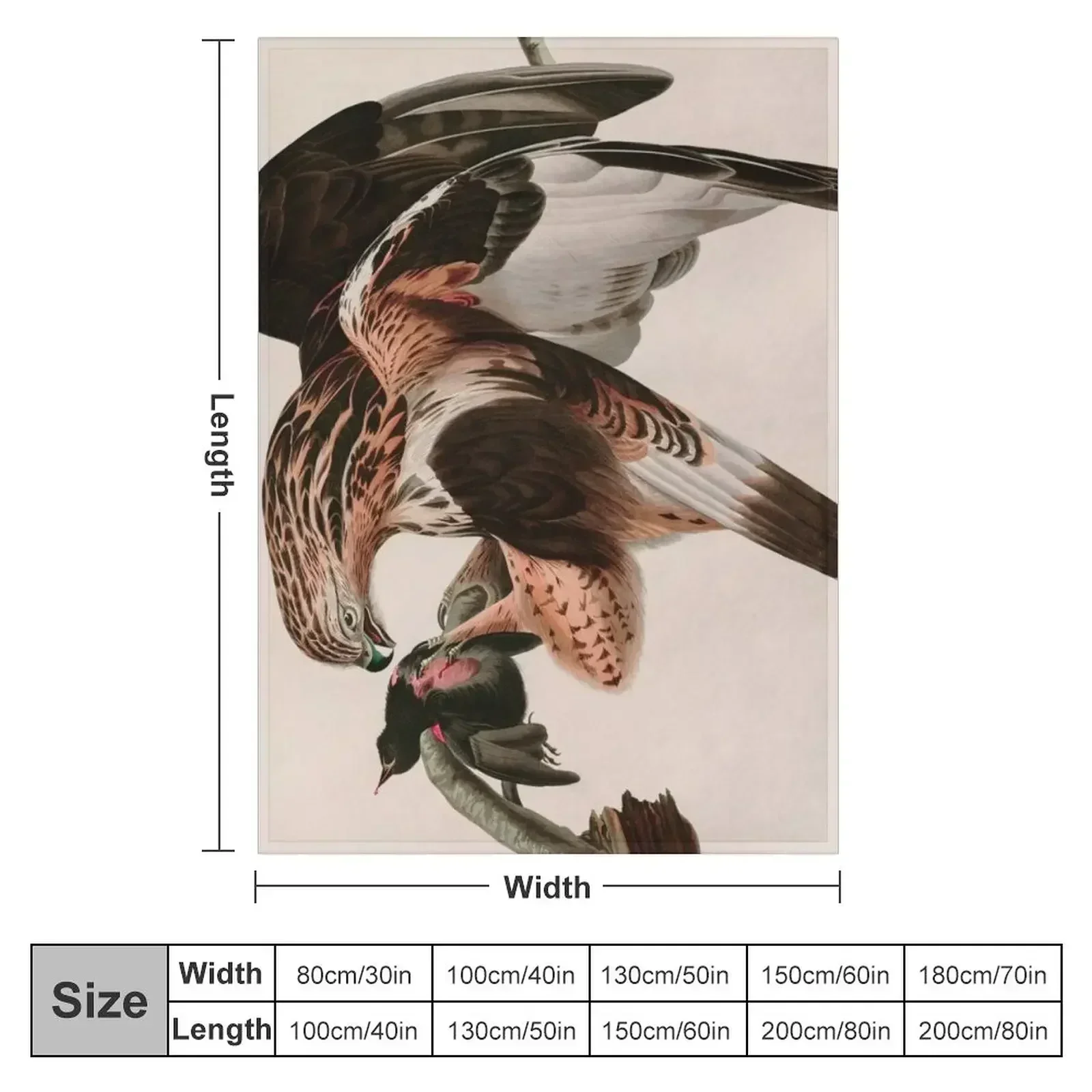 Birds of America Audubon Rough-legged Falcon Illustration Bird Lovers Gift Throw Blanket Flannel Polar Blankets