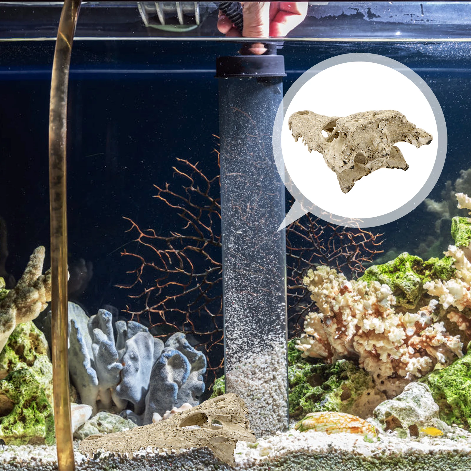 

1pc Sturdy Resin Dinosaur Crocodile Skull Crafts Realistic Hideout House Aquarium Decoration Desktop Ornament Micro Landscape