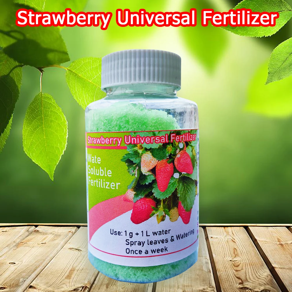 100G Strawberry Fer… - image