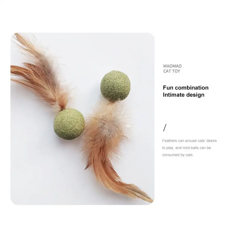 Cat Feather Toy Ball Cat Snack Teeth Cleaning Molar Hair Removal Ball Cat Grass Multifunctional Cat Toy Interactive Supplies