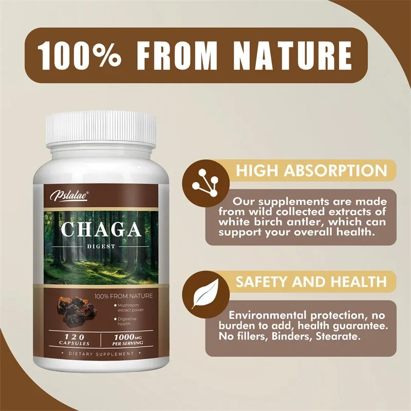 Chaga-capsules - voor de spijsvertering, gezondheid, energie en immuunondersteuning - niet-GMO