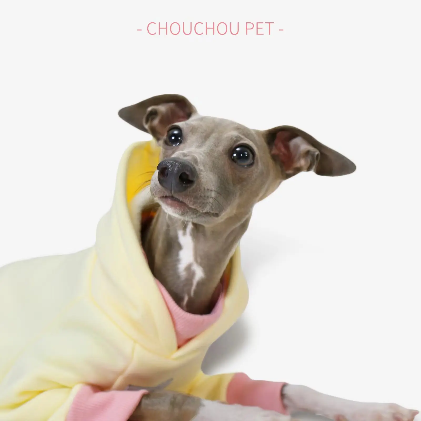 Spring new hooded pet sweatshirt Italian iggy coat Whippet sweatshirt suitable for small and medium-sized dogs