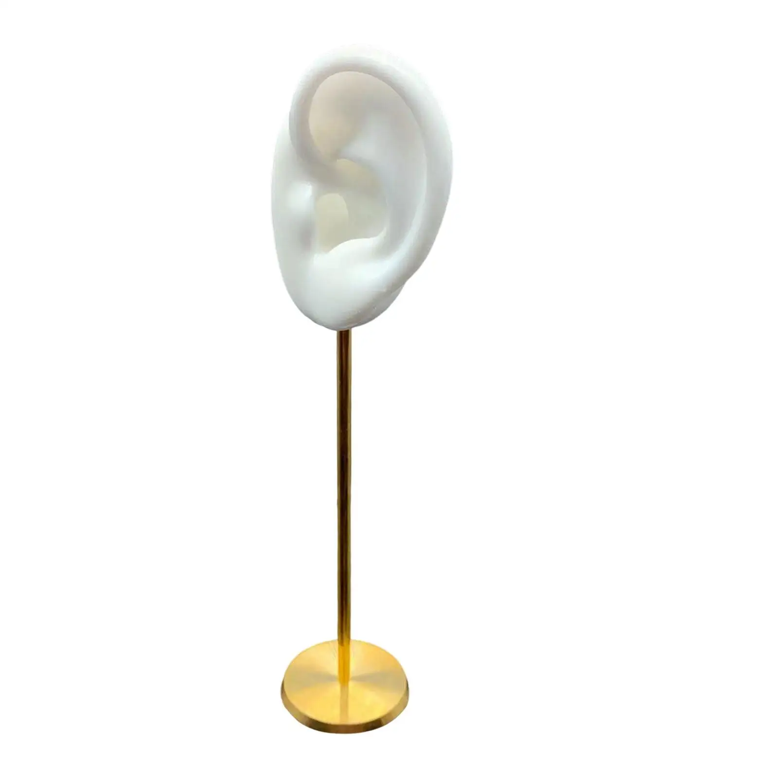 Earring Display Holder Stand with Realistic Ear Shape for Jewelry Presentation and Storage Jewelry