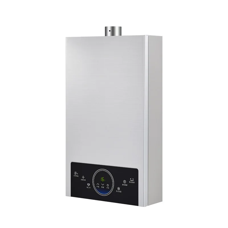

High-Efficient Instant Gas Boiler for Heating and Hot Water Wall Mounted From China for RV Outdoor Car Use