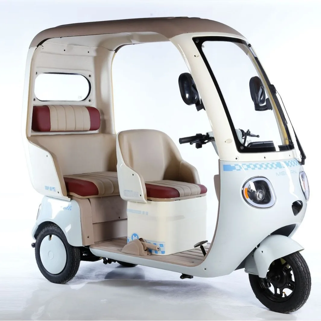 

3-Person 60v Electric Tricycle 3-Wheel Bicycle with Open Body EEC Certified Household Cargo Passenger Vehicle