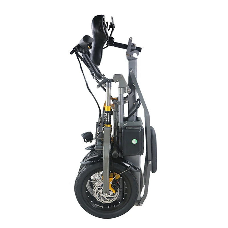 Outdoor Cool Three Wheel Foldable Retro Bicicleta Mountainbike Mountain Battery Electric Bike