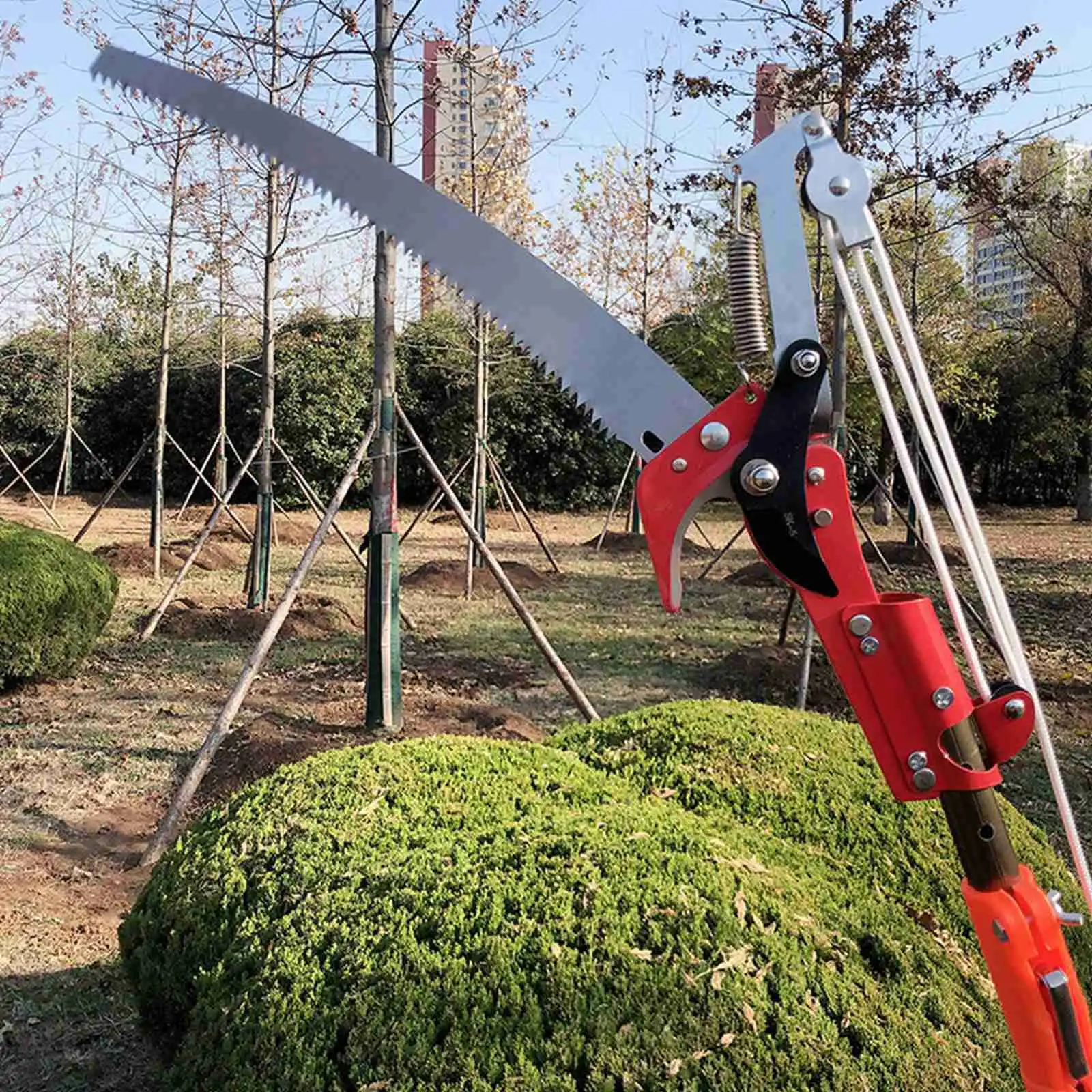 High-altitude Shears Fruit Picking Garden Pruning Shears High Branch Shears Thick Branch Telescopic Shears Band Saw Blades