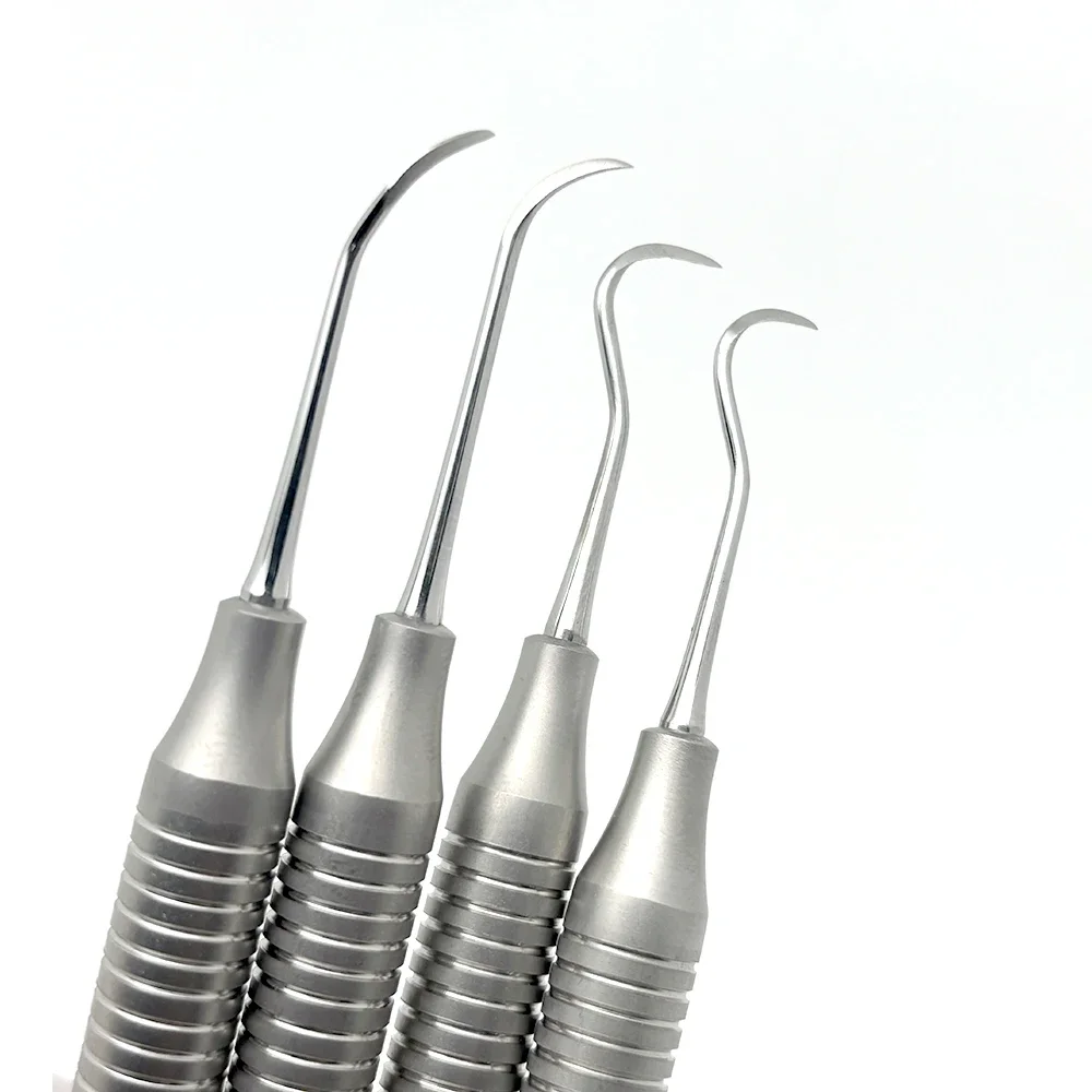4Pcs/set Dental Tooth Scaler Kit Dental Double-Ended Design Teeth Cleaning Tool Stainless Steel Dentistry Instrument Tools