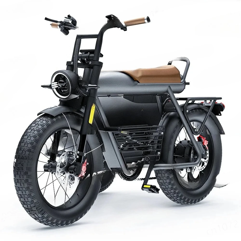 Three Wheel Pedal Assist 1500W Road Ebike Sidecar CT20S/CT20 1000W Fat Tire Electric Tricycle Sidecar E-bike Carry Pets